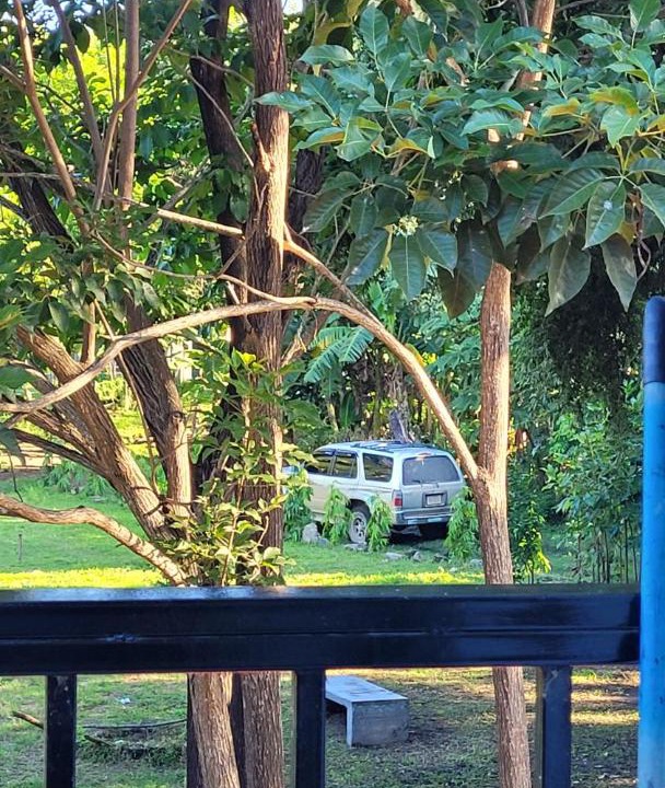 Photo of Others in Rivas