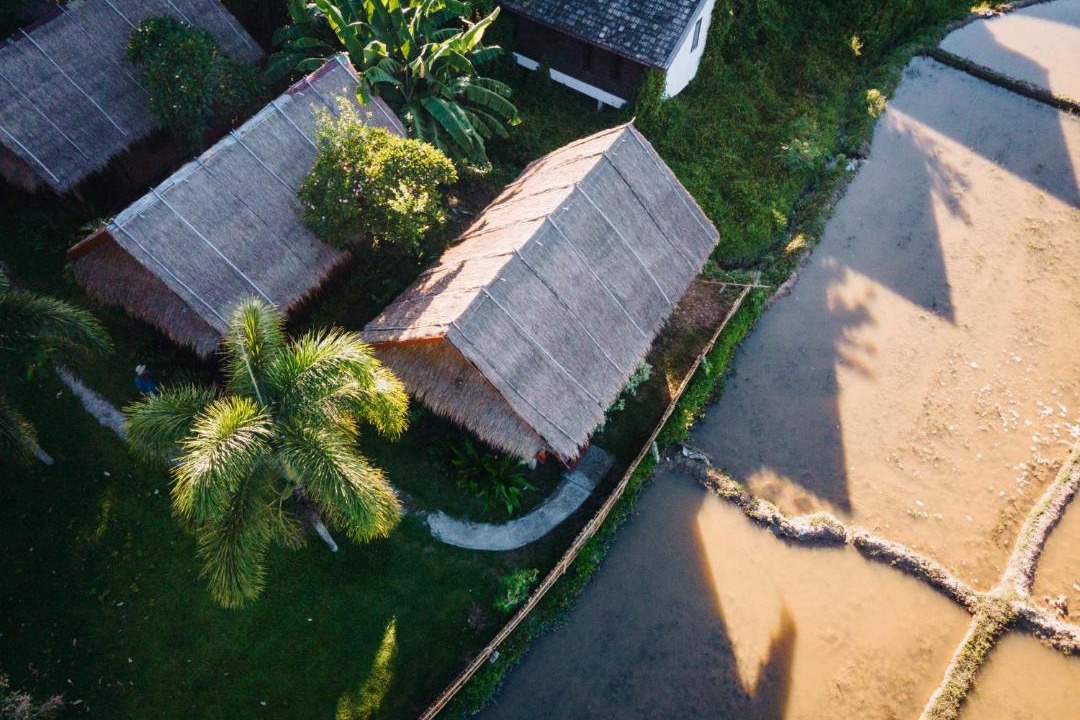 Photo of Others in Pai