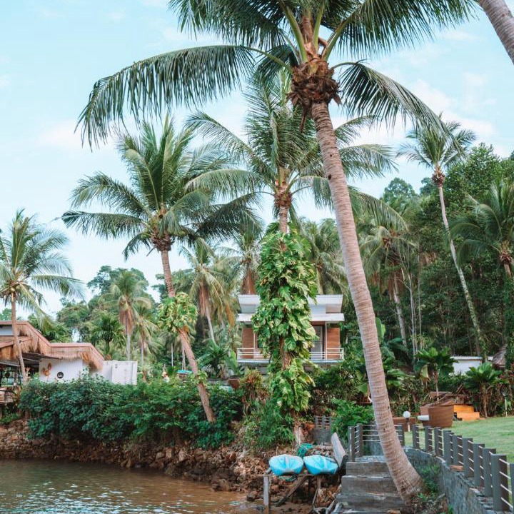 Photo of Others in Bang Bao Bay