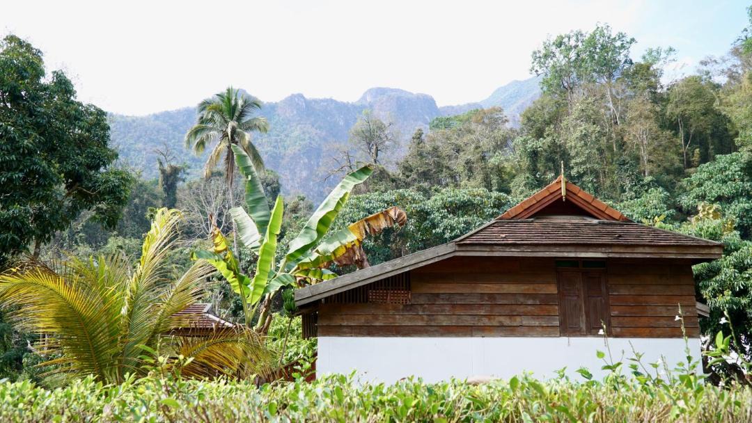 Photo of Others in Chiang Dao