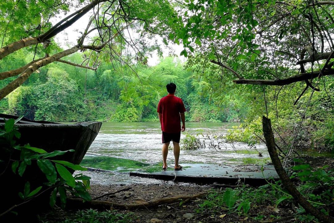 Photo of Human In Picture in Chong Sadao