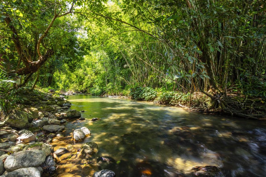 Photo of Others in Khlong Sok