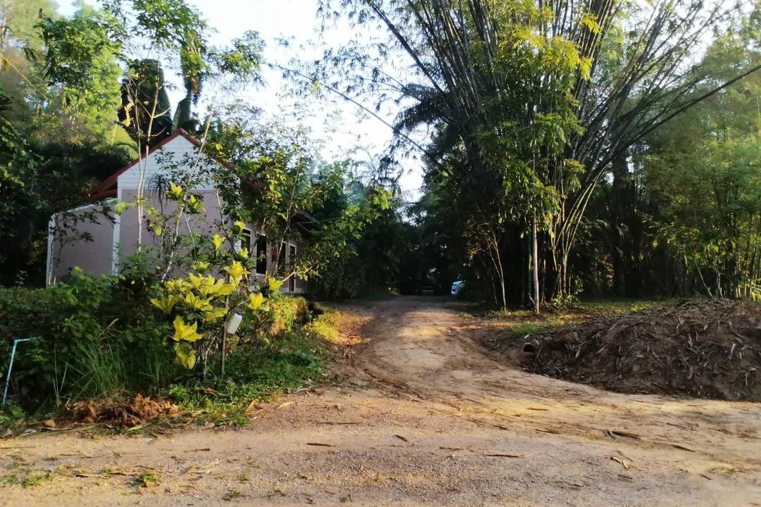 Photo of Others in Plai Phraya