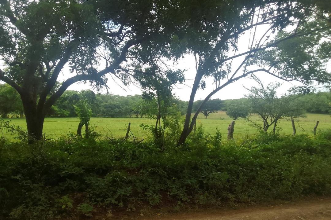Photo of Others in Popoyo