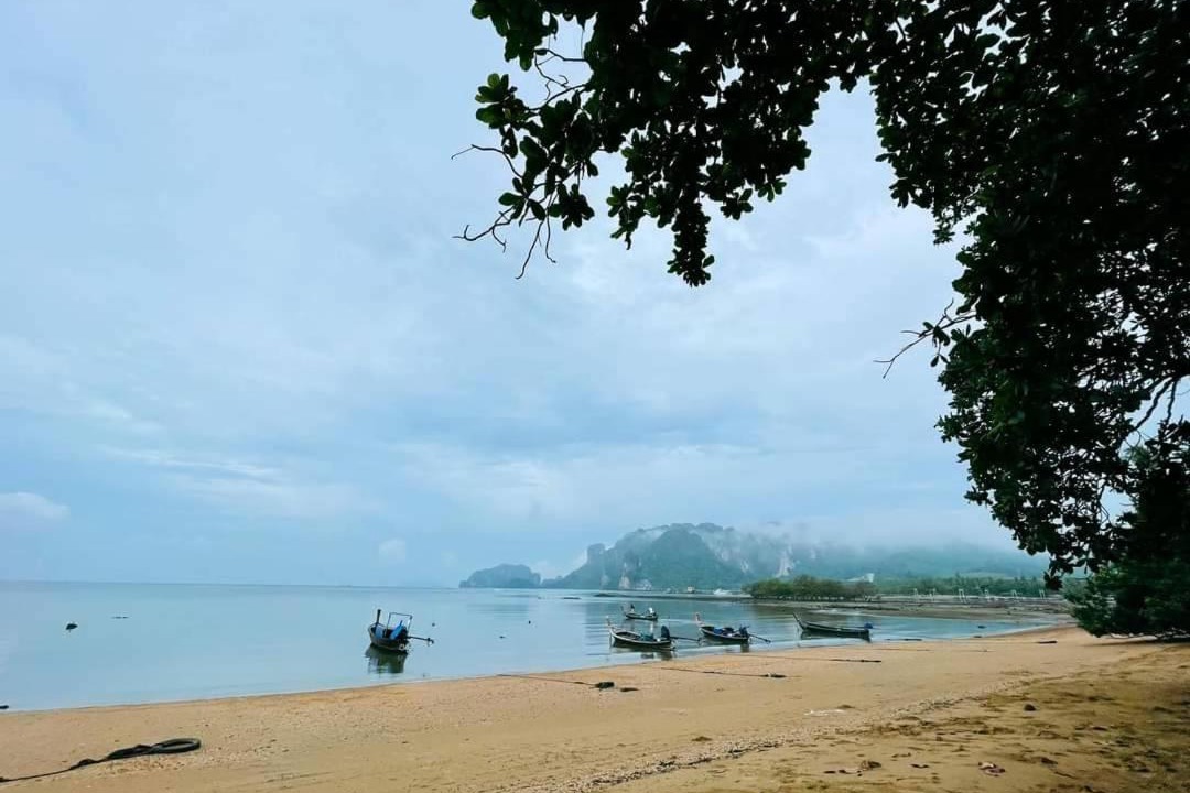 Photo of Others in Sai Thai