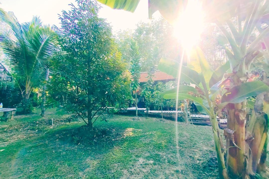 Photo of Others in Ko Mook