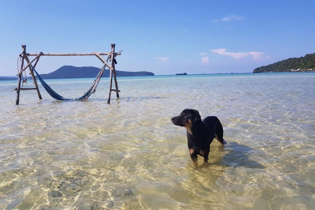 Photo of Others in Koh Rong Sanloem