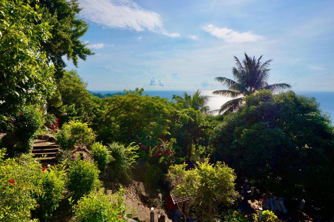 Photo of Others in Koh Tao