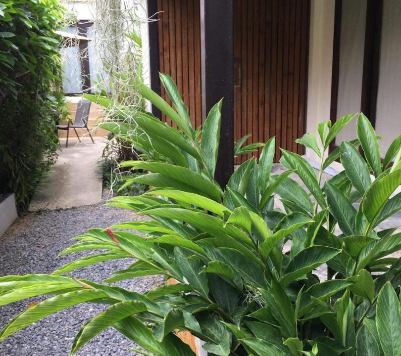 Photo of Others in Baan Tai