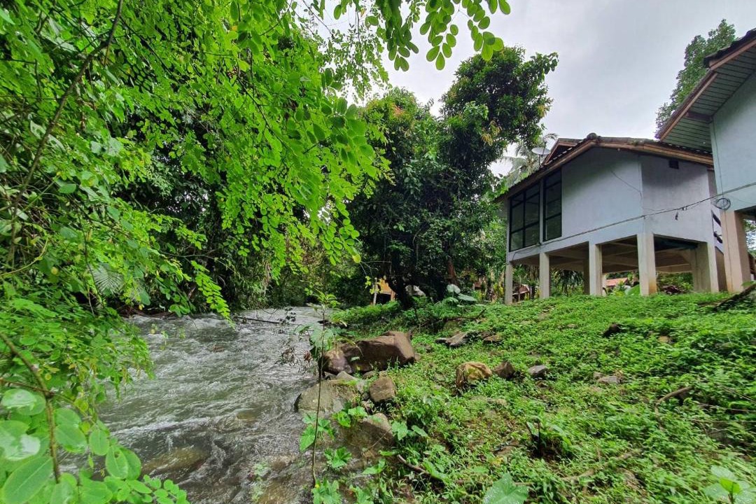 Photo of Others in Khlong Sok
