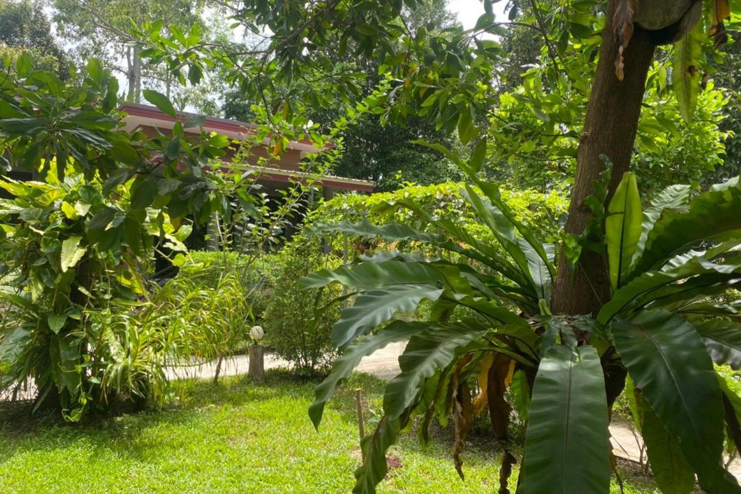 Photo of Others in Ko Lanta