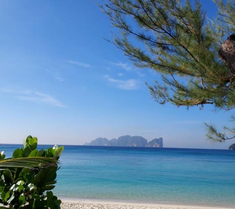 Photo of Others in Ko Phi Phi
