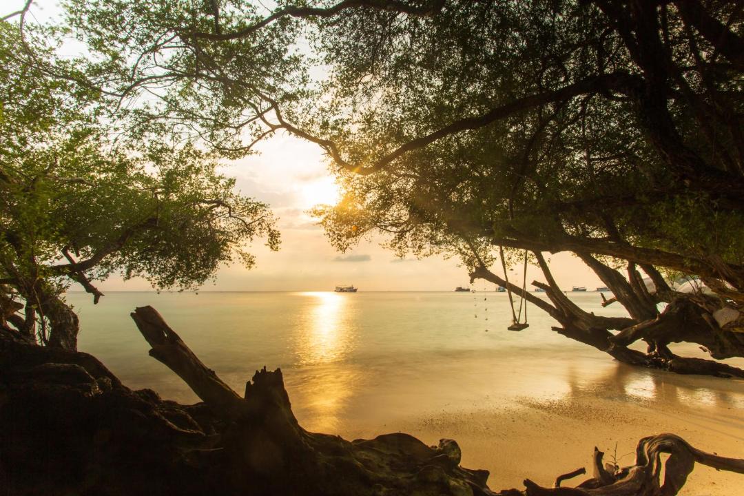 Photo of Others in Koh Tao