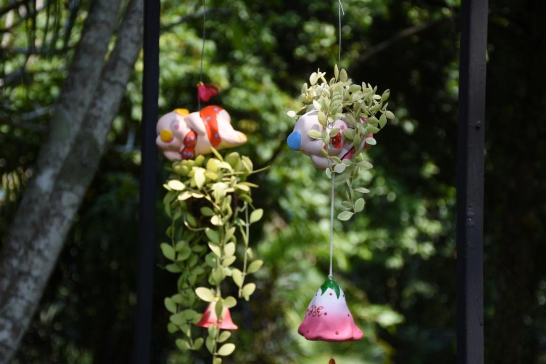 Photo of Others in Chiang Dao