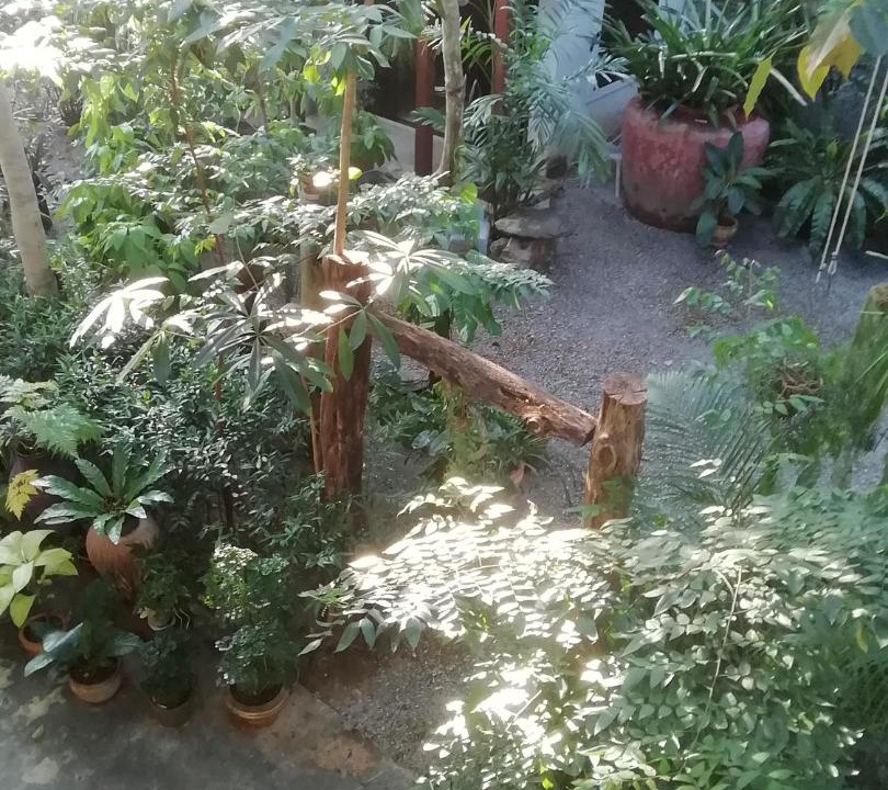 Photo of Others in Phongprasan
