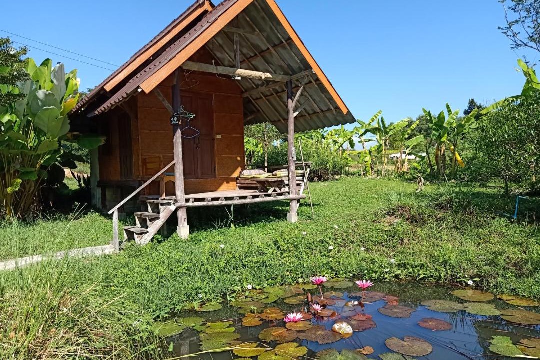 Photo of Others in Pai