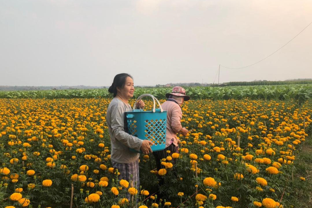 Photo of Others in K. Phu Pieng