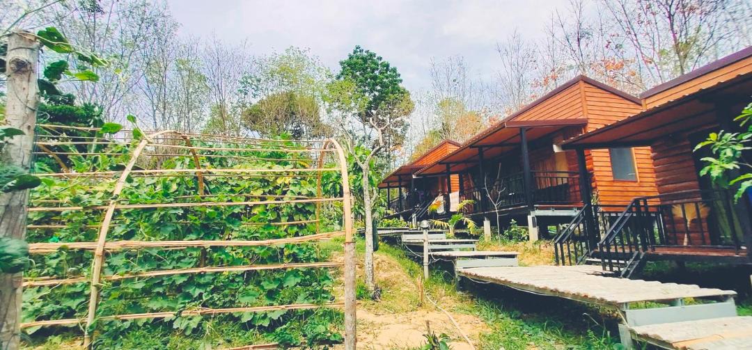 Photo of Others in Ko Mook