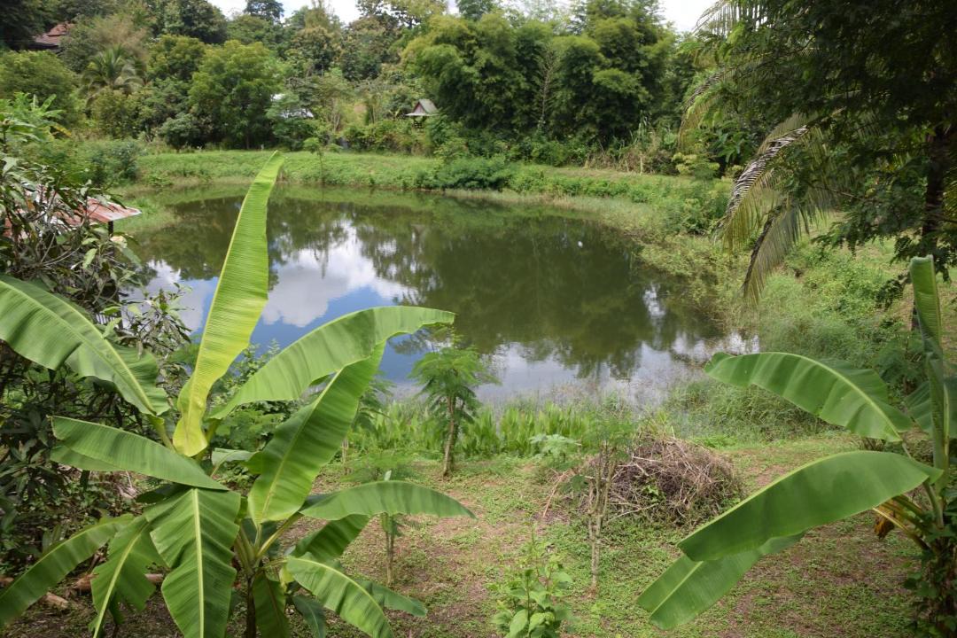 Photo of Others in Pai