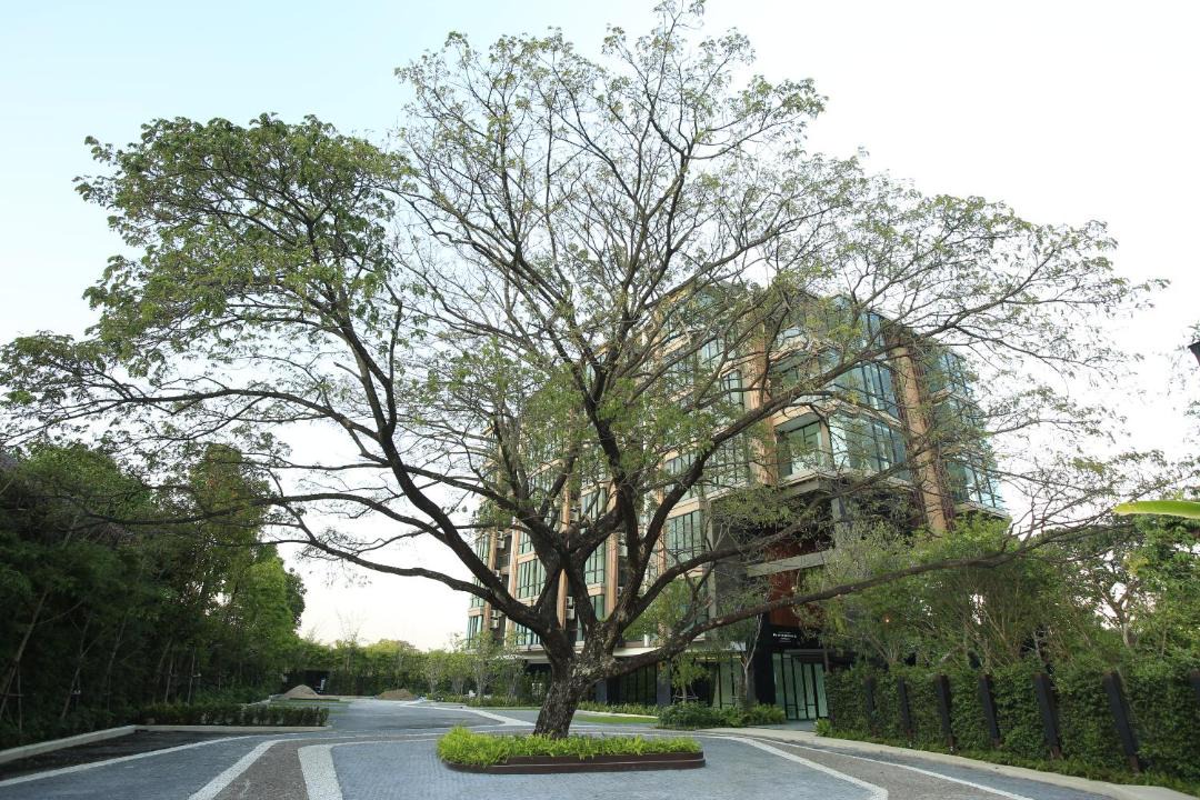 Photo of Outdoor in Hai Ya