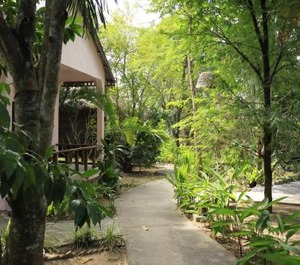Bird Of Paradise Bungalows 