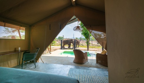 Luxury Tent