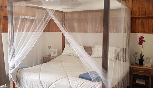 Comfort Studio Suite, Multiple Beds