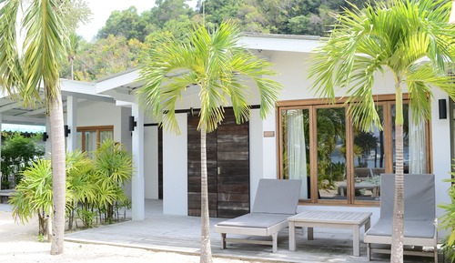 Coconut Palm - Seaview