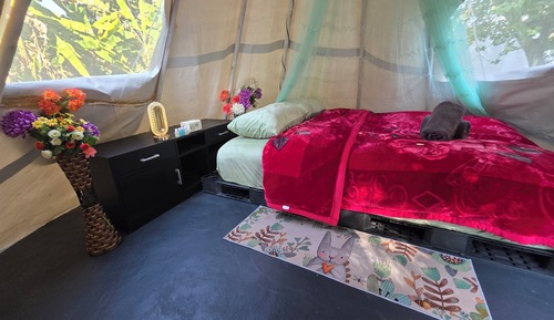 Tent Shippy Queen