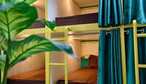 Standard Shared Dormitory, City View