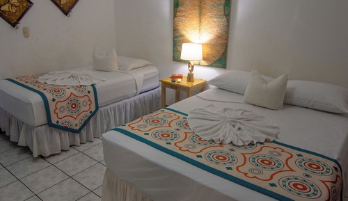 Basic Double Room