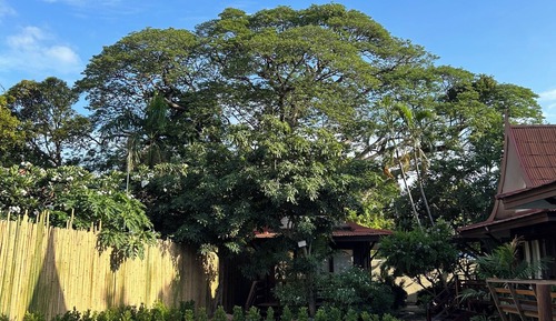 Deluxe Villa, Balcony, Garden View