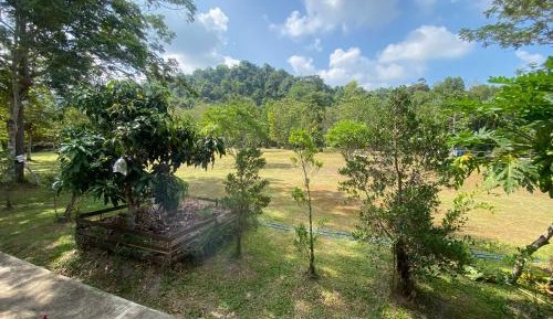 Double Room with Garden View