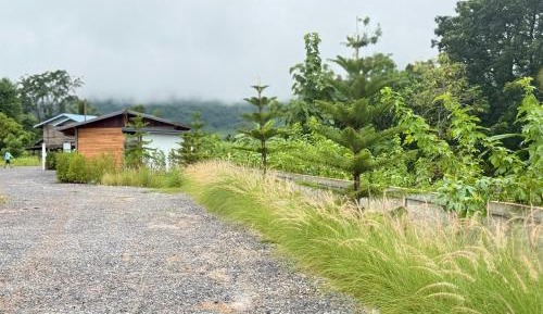 Quadruple Room with Mountain View
