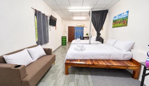 Large Double or Twin Room