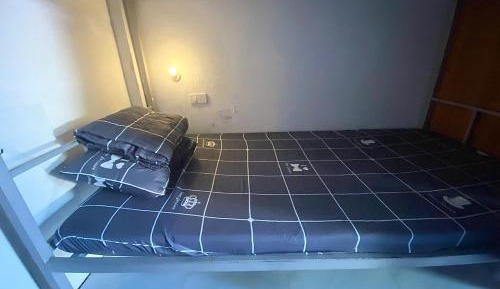 Bed in 8-Bed Mixed Dormitory Room