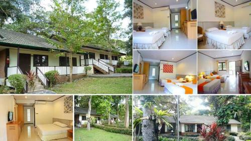 Superior Double Room with Garden View