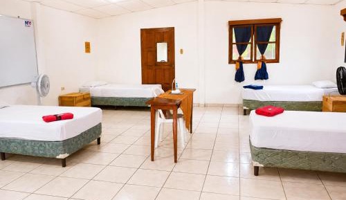 Single Bed in 6-Bed Dormitory Room