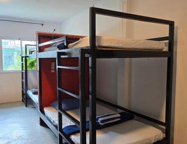 Bunk Bed in Mixed Dormitory Room