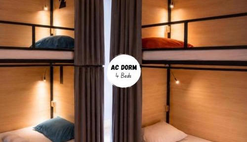Bed in 4-Bed Dormitory Room