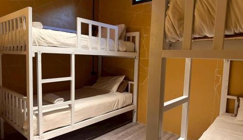 Bed in 8-Bed Mixed Dormitory Room