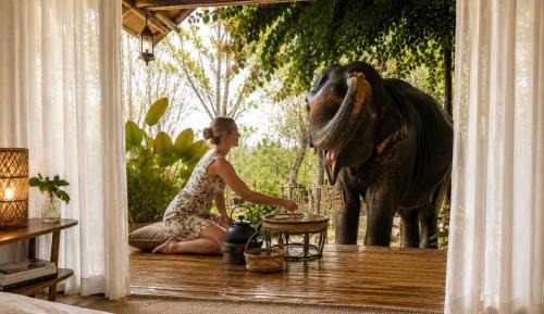 Elephants morning with bamboo house