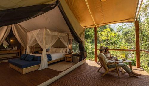 Tent