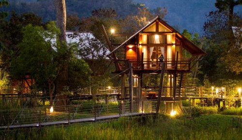 Loft Tree House
