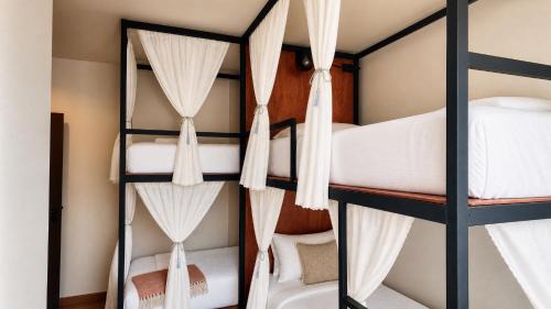 4-Bed Mixed Dormitory Room
