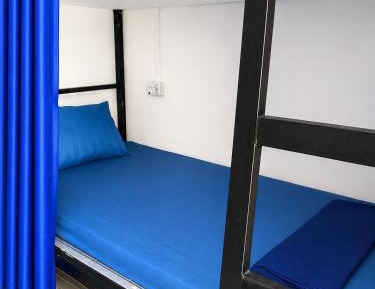 Bunk Bed in Mixed Dormitory Room