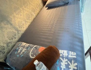 Bunk Bed in Mixed Dormitory Room