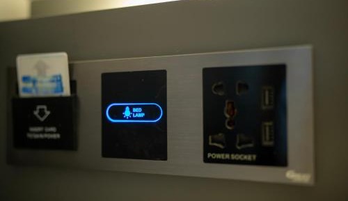 Bunk Bed in Mixed Dormitory Room