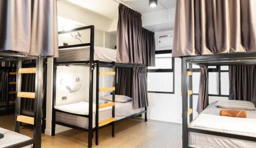 Bunk Bed in Female Dormitory Room  
