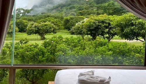 One-Bedroom Villa